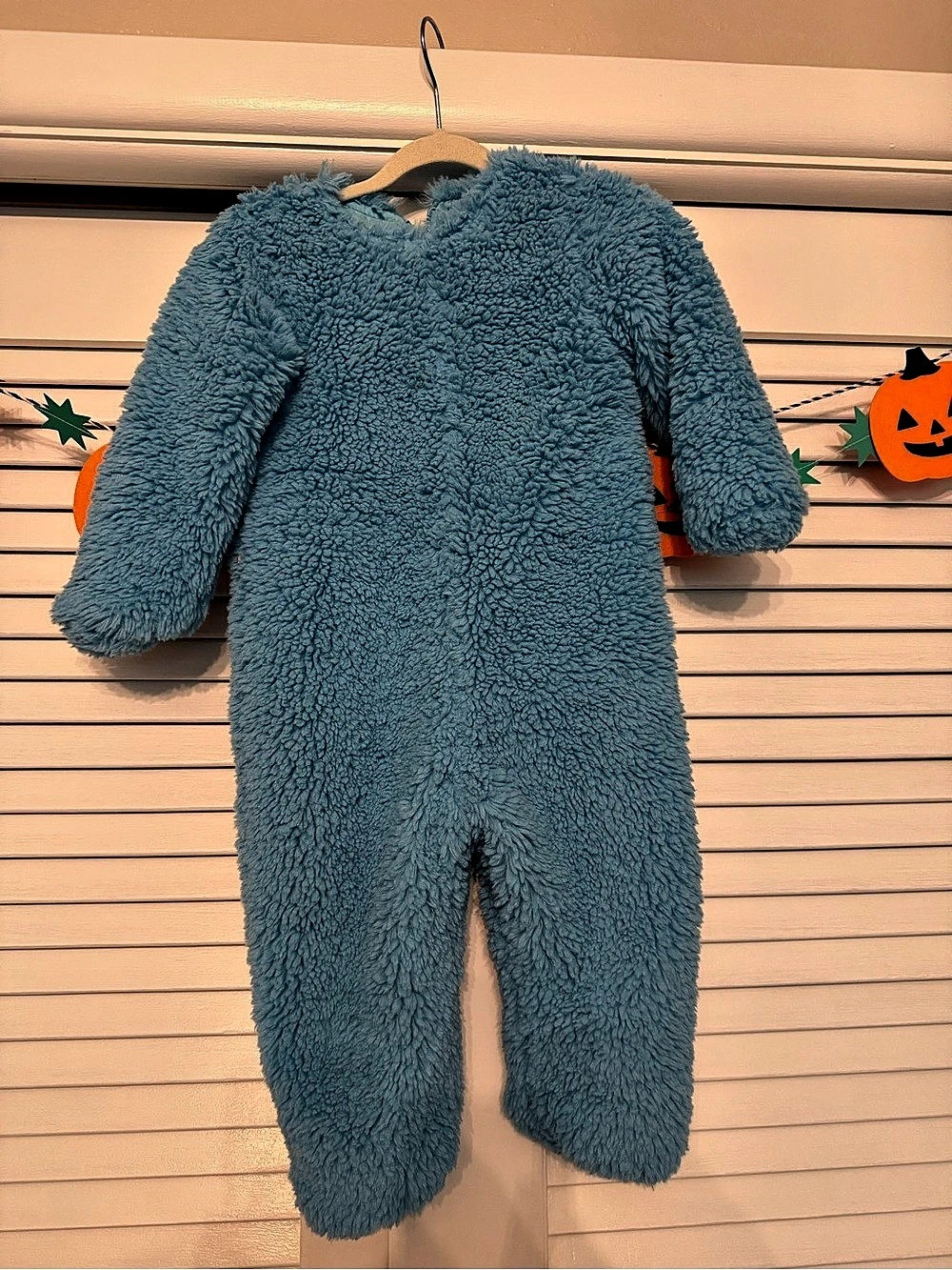 Pottery Barn Kids Cookie Monster 2T